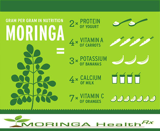 Moringa is the Newest Superfood You Should Know About