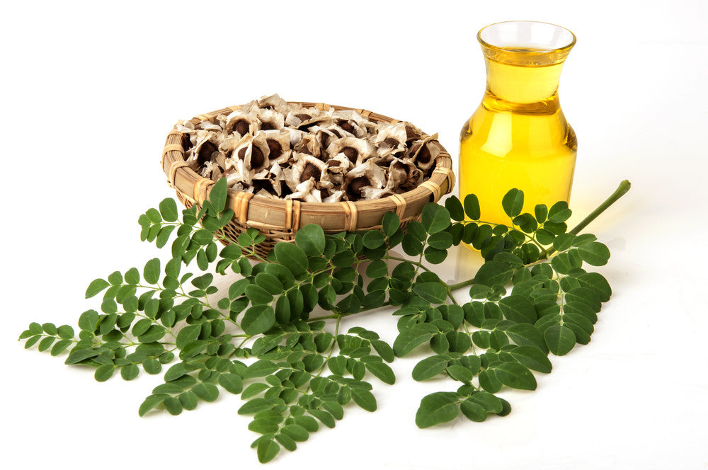 Moringa Oils