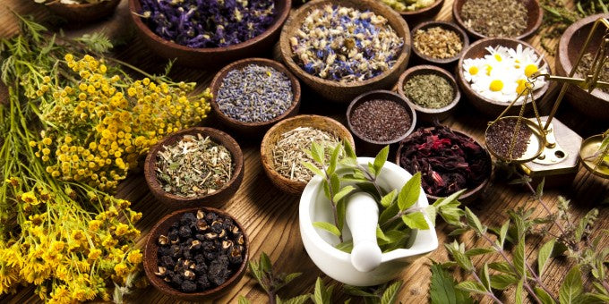 What is Herbal Medicine