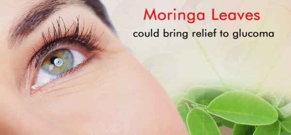 Moringa and Glucoma