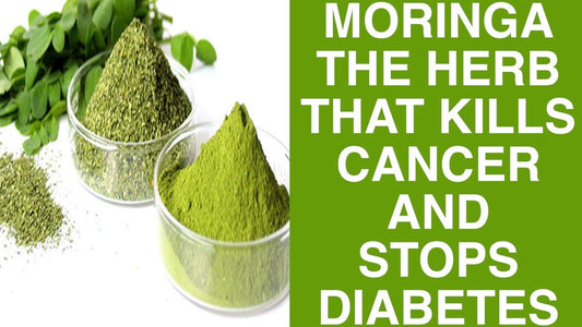 Moringa Tree: Uses for Cancer Treatment